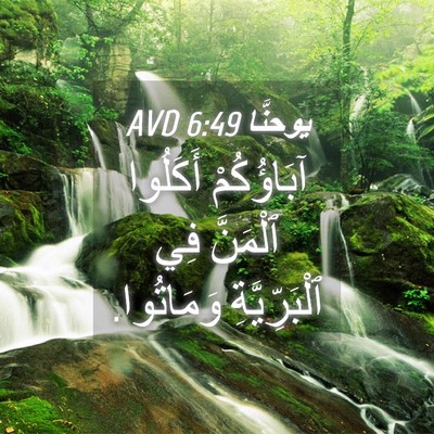 Picture 04 - يوحنَّا 6:49 AVD - آبَاؤُكُمْ أَكَلُوا - Bible Verse Picture