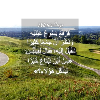 Picture 04 - يوحنَّا 6:5 AVD - فَرَفَعَ يَسُوعُ - Bible Verse Picture