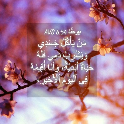 Picture 04 - يوحنَّا 6:54 AVD - مَنْ يَأْكُلُ جَسَدِي - Bible Verse Picture