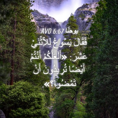 Picture 04 - يوحنَّا 6:67 AVD - فَقَالَ يَسُوعُ - Bible Verse Picture