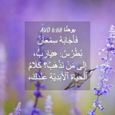 Picture 04 - يوحنَّا 6:68 AVD - فَأَجَابَهُ سِمْعَانُ - Bible Verse Picture