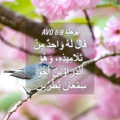 Picture 04 - يوحنَّا 6:8 AVD - قَالَ لَهُ وَاحِدٌ مِنْ - Bible Verse Picture