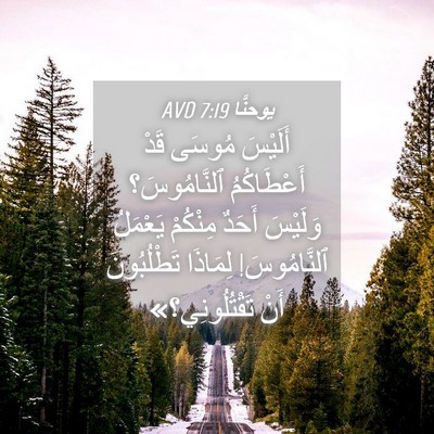 Picture 04 - يوحنَّا 7:19 AVD - أَلَيْسَ مُوسَى قَدْ - Bible Verse Picture