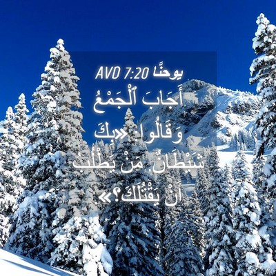 Picture 04 - يوحنَّا 7:20 AVD - أَجَابَ ٱلْجَمْعُ - Bible Verse Picture