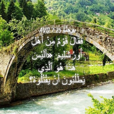 Picture 04 - يوحنَّا 7:25 AVD - فَقَالَ قَوْمٌ مِنْ أَهْلِ - Bible Verse Picture