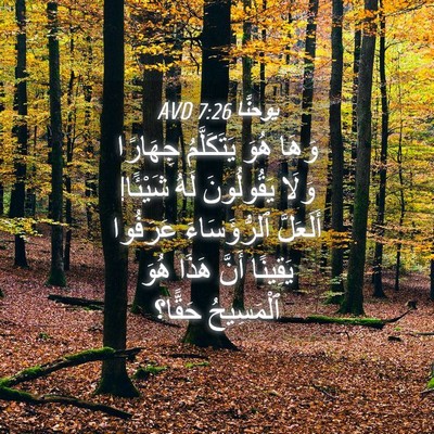 Picture 04 - يوحنَّا 7:26 AVD - وَهَا هُوَ يَتَكَلَّمُ - Bible Verse Picture