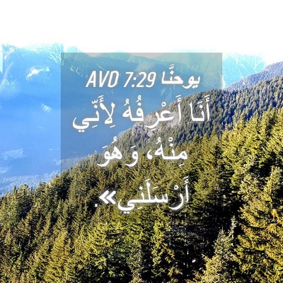 Picture 04 - يوحنَّا 7:29 AVD - أَنَا أَعْرِفُهُ لِأَنِّي - Bible Verse Picture