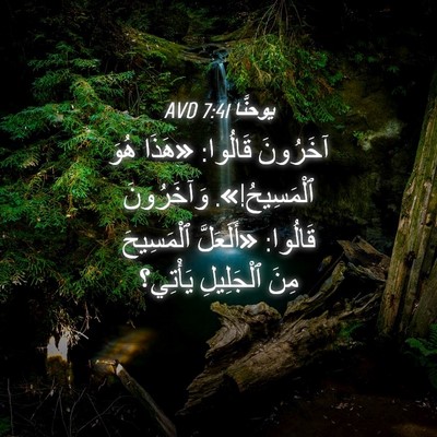 Picture 04 - يوحنَّا 7:41 AVD - آخَرُونَ قَالُوا: «هَذَا - Bible Verse Picture