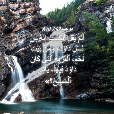 Picture 04 - يوحنَّا 7:42 AVD - أَلَمْ يَقُلِ ٱلْكِتَابُ - Bible Verse Picture