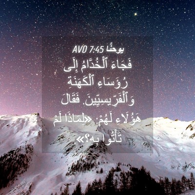 Picture 04 - يوحنَّا 7:45 AVD - فَجَاءَ ٱلْخُدَّامُ إِلَى - Bible Verse Picture
