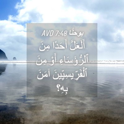 Picture 04 - يوحنَّا 7:48 AVD - أَلَعَلَّ أَحَدًا مِنَ - Bible Verse Picture
