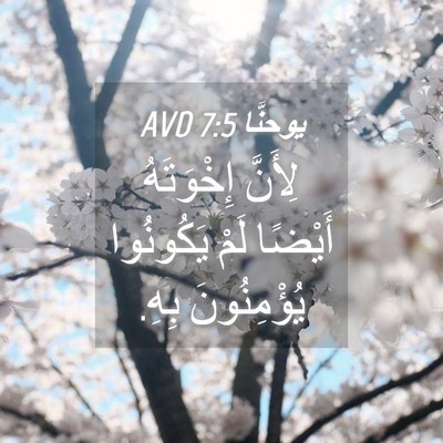 Picture 04 - يوحنَّا 7:5 AVD - لِأَنَّ إِخْوَتَهُ - Bible Verse Picture