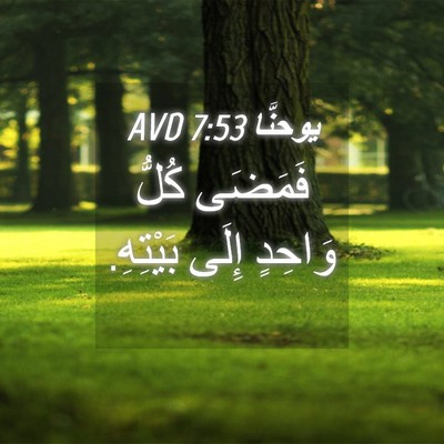 Picture 04 - يوحنَّا 7:53 AVD - فَمَضَى كُلُّ وَاحِدٍ - Bible Verse Picture