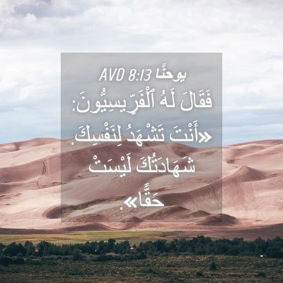 Picture 04 - يوحنَّا 8:13 AVD - فَقَالَ لَهُ - Bible Verse Picture