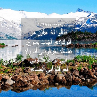 Picture 04 - يوحنَّا 8:19 AVD - فَقَالُوا لَهُ: «أَيْنَ - Bible Verse Picture