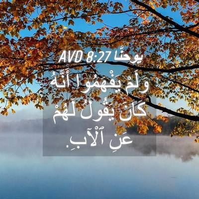 Picture 04 - يوحنَّا 8:27 AVD - وَلَمْ يَفْهَمُوا أَنَّهُ - Bible Verse Picture