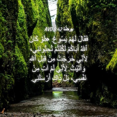 Picture 04 - يوحنَّا 8:42 AVD - فَقَالَ لَهُمْ يَسُوعُ: - Bible Verse Picture