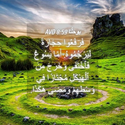 Picture 04 - يوحنَّا 8:59 AVD - فَرَفَعُوا حِجَارَةً - Bible Verse Picture