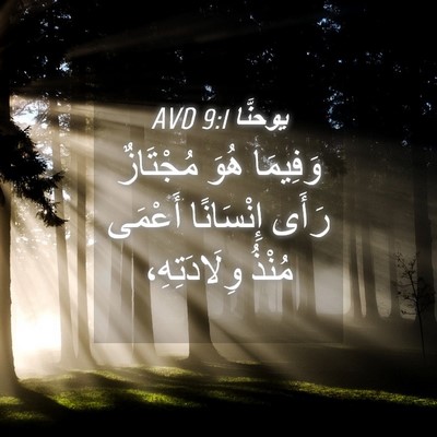 Picture 04 - يوحنَّا 9:1 AVD - وَفِيمَا هُوَ مُجْتَازٌ - Bible Verse Picture