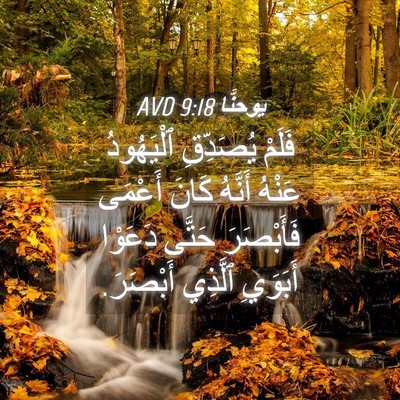 Picture 04 - يوحنَّا 9:18 AVD - فَلَمْ يُصَدِّقِ - Bible Verse Picture