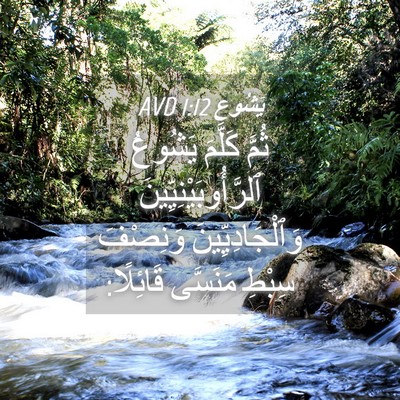 Picture 04 - يَشُوع 1:12 AVD - ثُمَّ كَلَّمَ يَشُوعُ - Bible Verse Picture