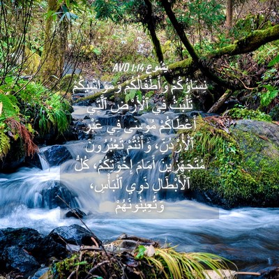 Picture 04 - يَشُوع 1:14 AVD - نِسَاؤُكُمْ - Bible Verse Picture