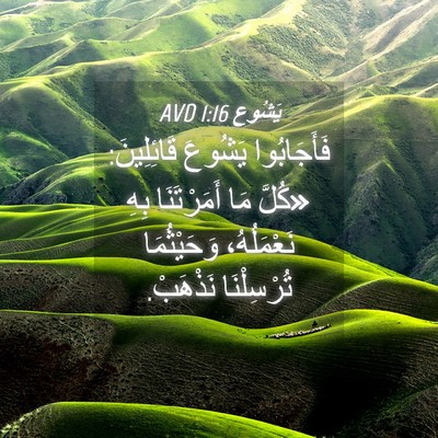 Picture 04 - يَشُوع 1:16 AVD - فَأَجَابُوا يَشُوعَ - Bible Verse Picture