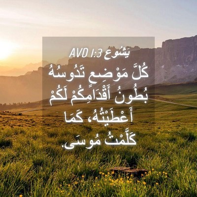 Picture 04 - يَشُوع 1:3 AVD - كُلَّ مَوْضِعٍ تَدُوسُهُ - Bible Verse Picture