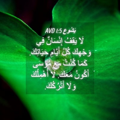 Picture 04 - يَشُوع 1:5 AVD - لَا يَقِفُ إِنْسَانٌ فِي - Bible Verse Picture