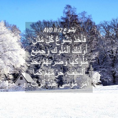 Picture 04 - يَشُوع 11:12 AVD - فَأَخَذَ يَشُوعُ كُلَّ - Bible Verse Picture