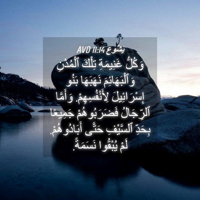 Picture 04 - يَشُوع 11:14 AVD - وَكُلُّ غَنِيمَةِ تِلْكَ - Bible Verse Picture