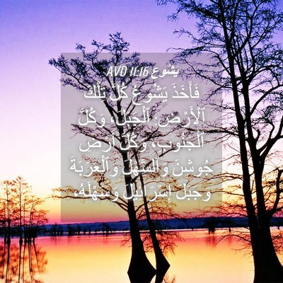 Picture 04 - يَشُوع 11:16 AVD - فَأَخَذَ يَشُوعُ كُلَّ - Bible Verse Picture