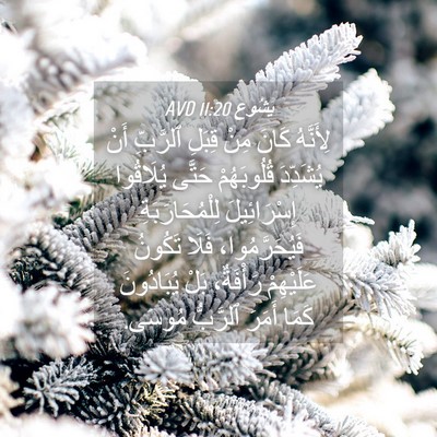 Picture 04 - يَشُوع 11:20 AVD - لِأَنَّهُ كَانَ مِنْ - Bible Verse Picture