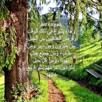 Picture 04 - يَشُوع 11:21 AVD - وَجَاءَ يَشُوعُ فِي ذَلِكَ - Bible Verse Picture