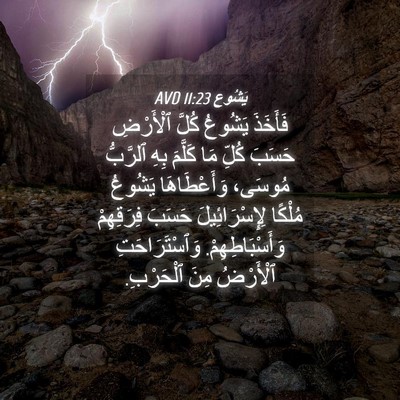 Picture 04 - يَشُوع 11:23 AVD - فَأَخَذَ يَشُوعُ كُلَّ - Bible Verse Picture