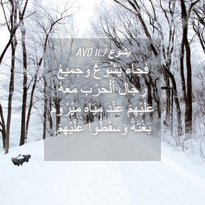 Picture 04 - يَشُوع 11:7 AVD - فَجَاءَ يَشُوعُ وَجَمِيعُ - Bible Verse Picture
