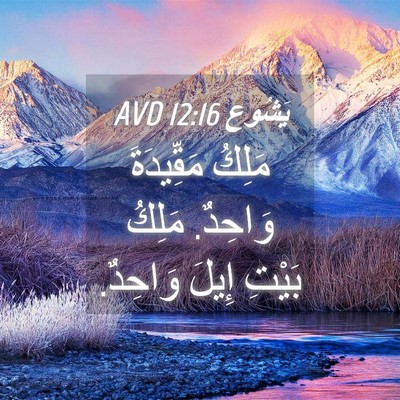 Picture 04 - يَشُوع 12:16 AVD - مَلِكُ مَقِّيدَةَ وَاحِدٌ. - Bible Verse Picture
