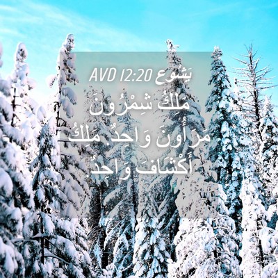 Picture 04 - يَشُوع 12:20 AVD - مَلِكُ شِمْرُونَ - Bible Verse Picture