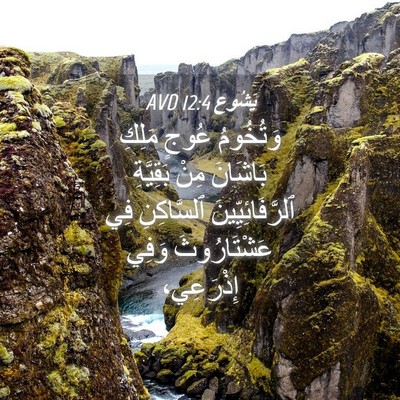 Picture 04 - يَشُوع 12:4 AVD - وَتُخُومُ عُوجٍ مَلِكِ - Bible Verse Picture