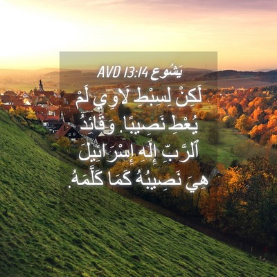 Picture 04 - يَشُوع 13:14 AVD - لَكِنْ لِسِبْطِ لَاوِي - Bible Verse Picture