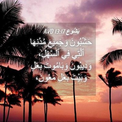 Picture 04 - يَشُوع 13:17 AVD - حَشْبُونَ وَجَمِيعَ - Bible Verse Picture
