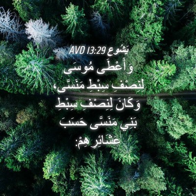 Picture 04 - يَشُوع 13:29 AVD - وَأَعْطَى مُوسَى لِنِصْفِ - Bible Verse Picture