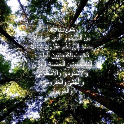 Picture 04 - يَشُوع 13:3 AVD - مِنَ ٱلشِّيحُورِ ٱلَّذِي - Bible Verse Picture