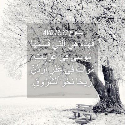 Picture 04 - يَشُوع 13:32 AVD - فَهَذِهِ هِيَ ٱلَّتِي - Bible Verse Picture