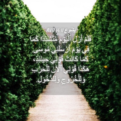 Picture 04 - يَشُوع 14:11 AVD - فَلَمْ أَزَلِ ٱلْيَوْمَ - Bible Verse Picture