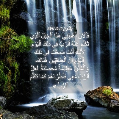 Picture 04 - يَشُوع 14:12 AVD - فَٱلْآنَ أَعْطِنِي هَذَا - Bible Verse Picture