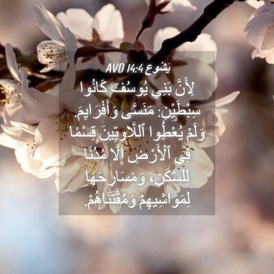 Picture 04 - يَشُوع 14:4 AVD - لِأَنَّ بَنِي يُوسُفَ - Bible Verse Picture