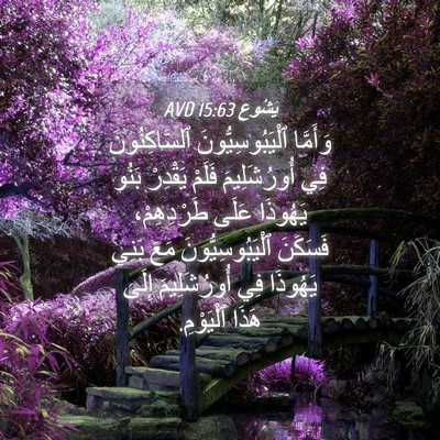 Picture 04 - يَشُوع 15:63 AVD - وَأَمَّا ٱلْيَبُوسِيُّونَ - Bible Verse Picture