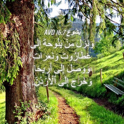 Picture 04 - يَشُوع 16:7 AVD - وَنَزَلَ مِنْ يَنُوحَةَ - Bible Verse Picture