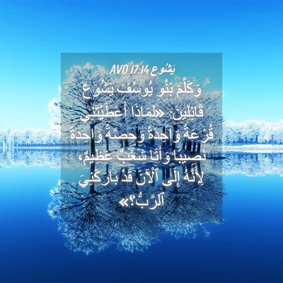 Picture 04 - يَشُوع 17:14 AVD - وَكَلَّمَ بَنُو يُوسُفَ - Bible Verse Picture